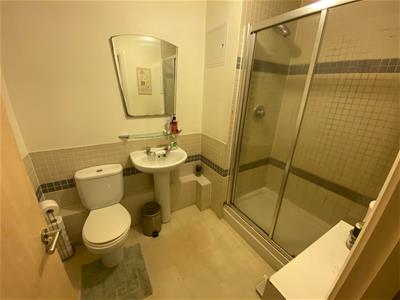 Picture 7